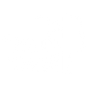 The Beauty Beech